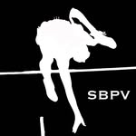 Seth Burney Pole Vault - @sethburneypolevault - Instagram