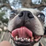 Seth Burns - Facebook