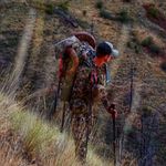Seth Burton - @sethaburton - Instagram