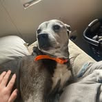 Seth Burton - Facebook