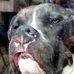 Seth Cagle - Facebook