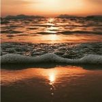 Seth Caldwell - @asreal02 - Instagram