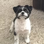 Seth Caley - @cales308 - Instagram