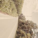 Seth Calvin - @the.seth.calvin - Instagram