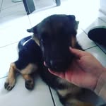 Seth Camacho P. - @se_8990 - Instagram