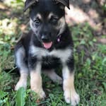 Seth Cannon - @s374_cannon - Instagram