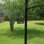 Seth Cannon - @sethco.2004 - Instagram