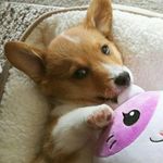 Seth_Capps375 - @seth_capps375 - Instagram