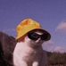 Seth Capps - Facebook