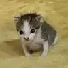 Seth - @squeeeth - TikTok