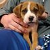 Seth Carlisle - Facebook