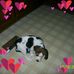 Seth Carlisle - Facebook