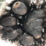 Seth Norton Carlisle - @sethnortoncarlisle - Instagram