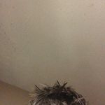 Seth Carlton - @carlton.seth - Instagram
