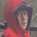 Seth Carmody - Facebook