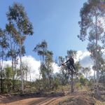 Seth Carmody - @sethcarmody - Instagram