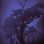 Seth Carr - @httpsethh - Instagram