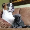 seth - @seth.arrington - TikTok