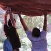 Seth Case - @seth.case - TikTok