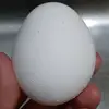Seth_CASE - @emperorshrub - TikTok