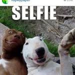 Seth. Cason - @carso_12 - Instagram