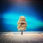Seth Castle - @sethcastle656 - Instagram