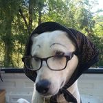 seth castro - @sethcastro117 - Instagram