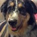 Seth Catron - Facebook