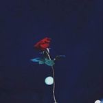 Seth Catrona - @sethcatrona - Instagram