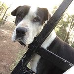 sǝʇɥ ɔɥɐddll - @sethchappell27 - Instagram