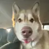 Seth Chase - @seth.chase0 - TikTok