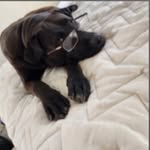 Seth Christopher Sherman - @litelpack_3 - Instagram