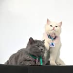 Cloud and Seth - @cloudandseth - Instagram