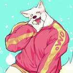 Seth Cloud - @very_big_floof - Instagram