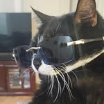 Seth - @clouds_seth_ - Instagram