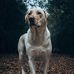 Seth Clyde - Facebook