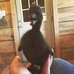 Seth Cobb - @sethcobb740 - Instagram