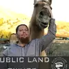 Seth Cornell - @barleypaw - TikTok