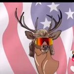 Seth Craig - @sethcraig3 - Instagram
