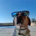 Seth Crews - @sethandrew_0 - Instagram