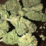 Seth Culp - @w.m.n.4200 - Instagram