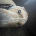 Seth Danielson - Facebook