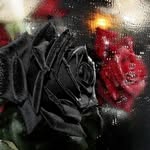 RANADEV_🖤❤️ - @seth_dean_77777 - Instagram