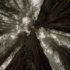 sethdeleon - @seth.de.leon8 - TikTok