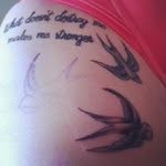 Seth Delorme - @tricentio - Instagram