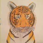 Seth Dietrich - @big_cat_d - Instagram