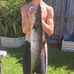 Seth Dillon - Facebook