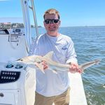 Seth Dillon - @dillon_seth - Instagram