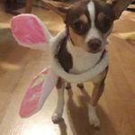 Seth Dobbs - @sdobbs128 - Instagram