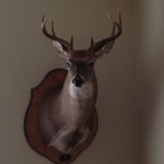 @sethdobbs8657657 - Instagram